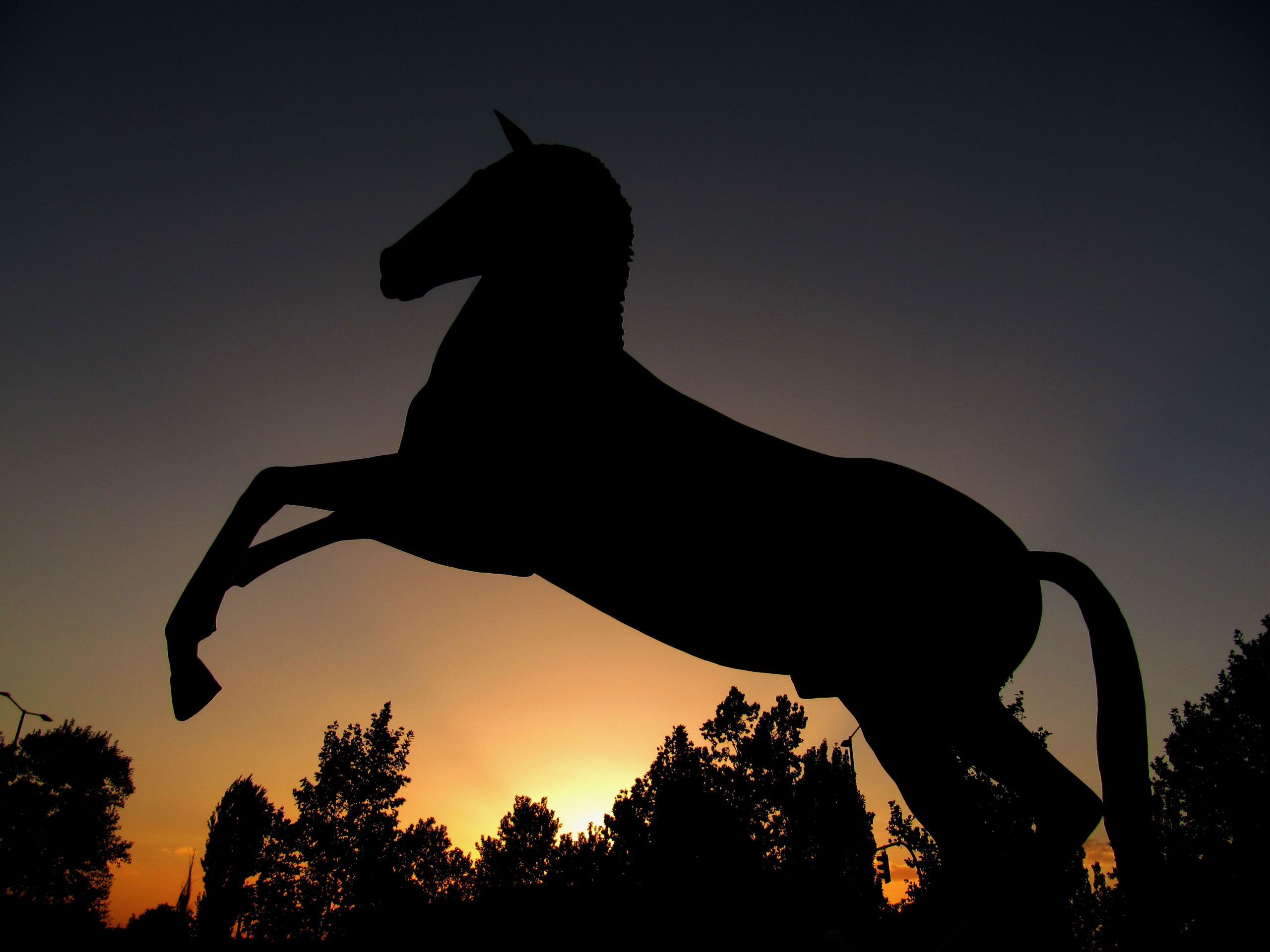 statue of horse in alcazar park